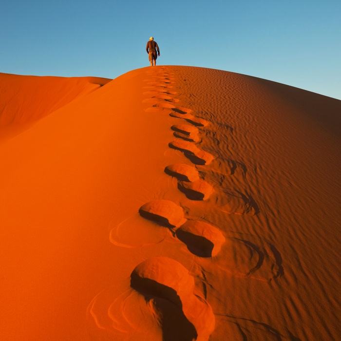 Namibie sauvage : découvertes et randonnées