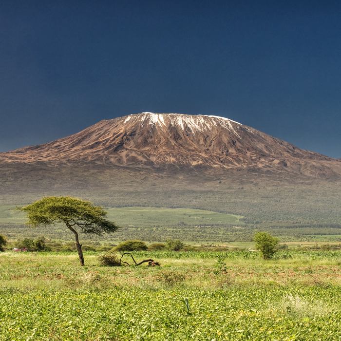 De Mkuru au pied du Kilimanjaro