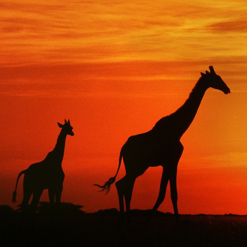 Parc National Kruger