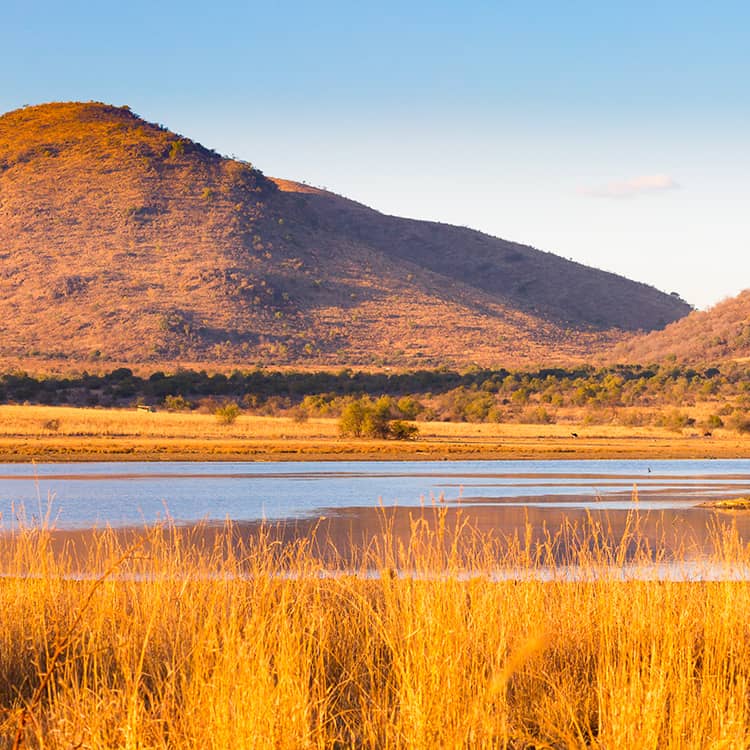 Parc National du Pilanesberg