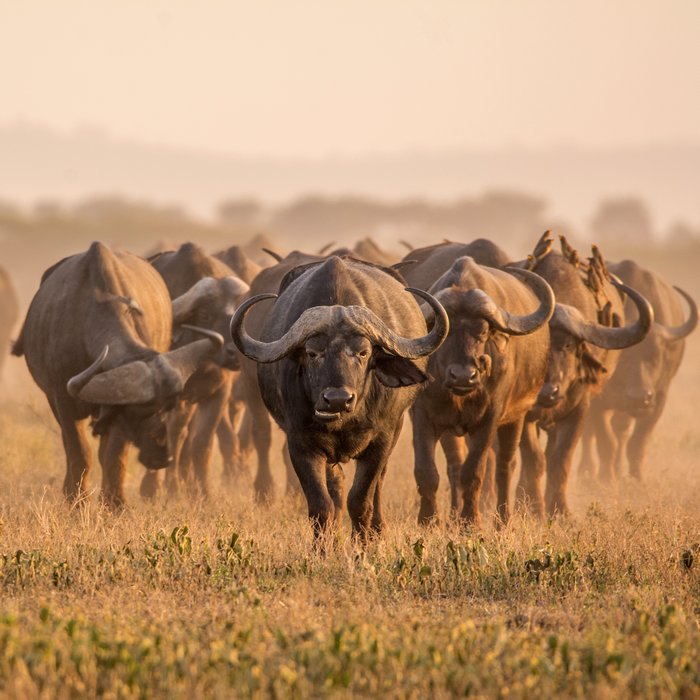 Kruger et réserves privées