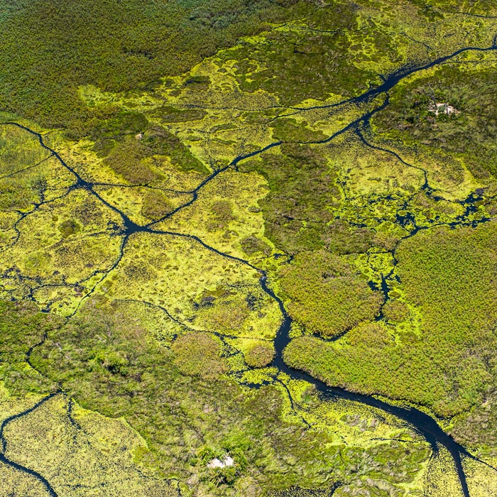 Delta de l'Okavango