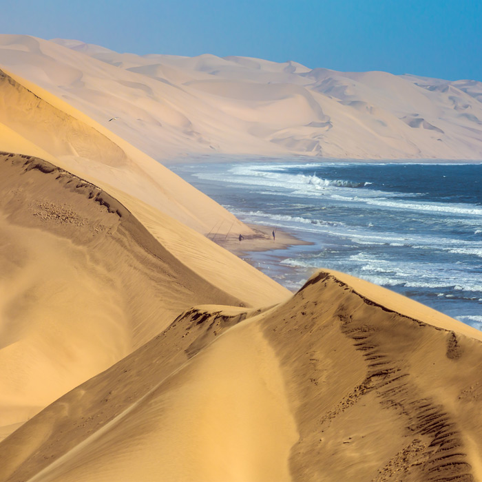 Marine Dune Day (combiné mer & dunes)