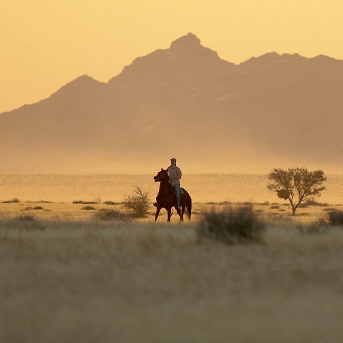 Randonnées à cheval