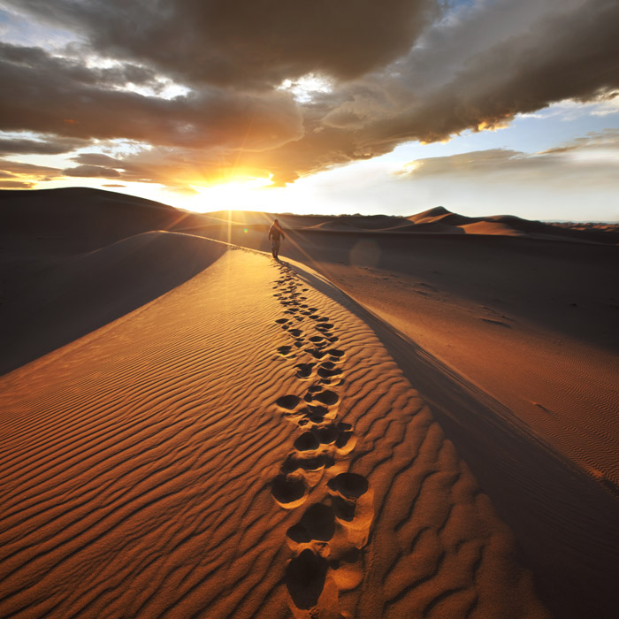 Activités spéciales en Namibie

