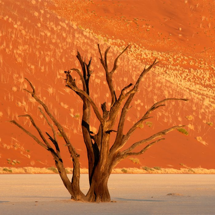 désert de namibie
