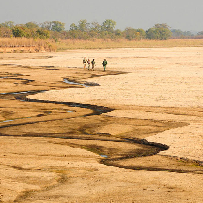 Trail au coeur de South Luangwa