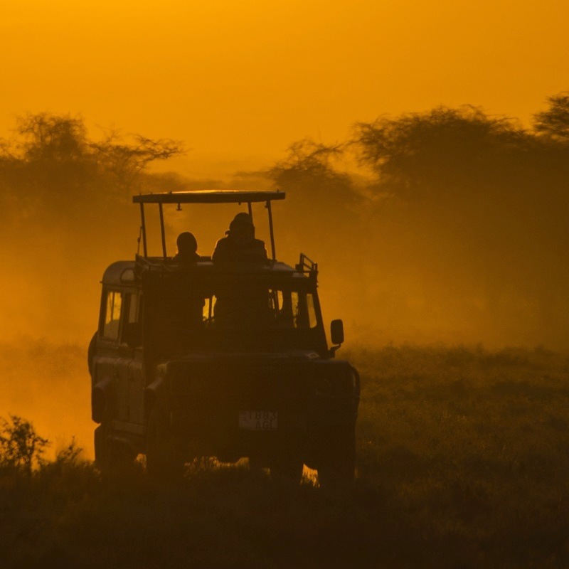 D'Amboseli au Masai Mara en 4x4