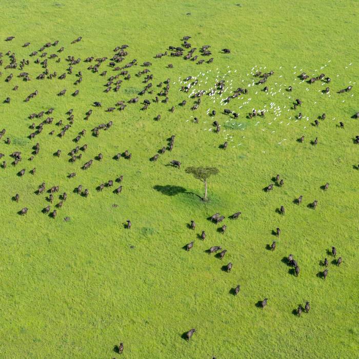 Le Kenya vu du ciel