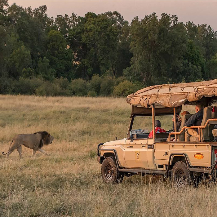 Safari en groupe au Masai Mara en 4x4