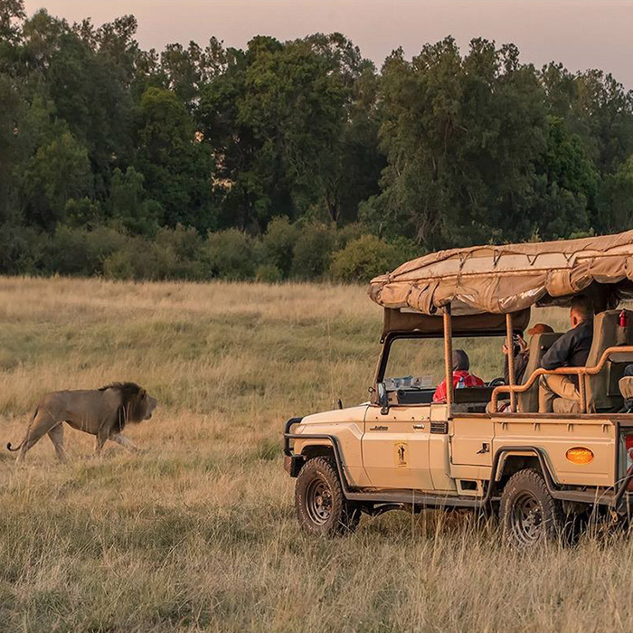 En groupe au Masai Mara