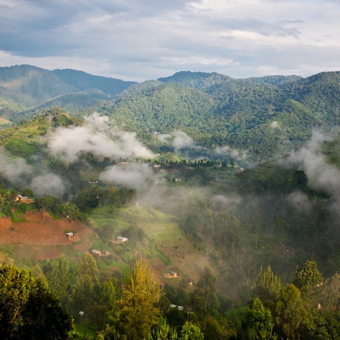 Découverte Ouganda et Rwanda