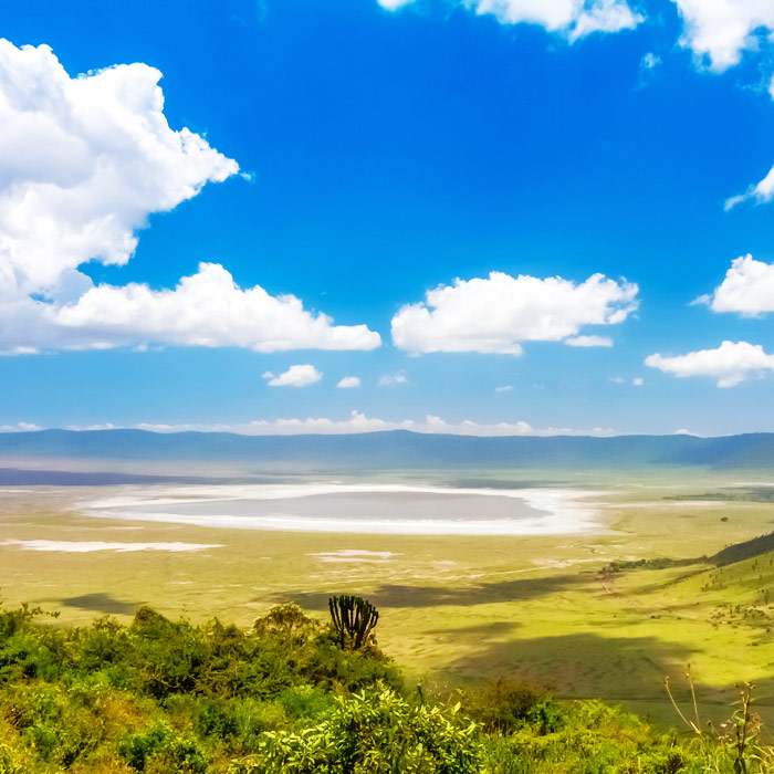 Cratère N'gorongoro