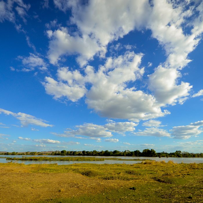 Safari dans les parcs de Selous et Ruaha