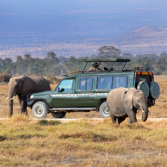 La Tanzanie en groupe