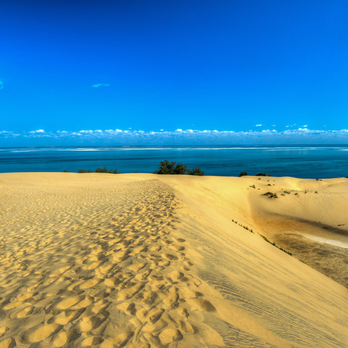 Safari et plage