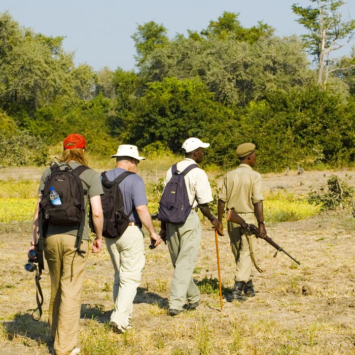 Treks et safaris à pied